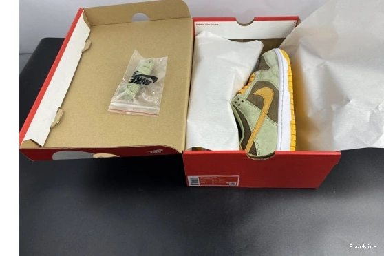 DH5360-300 Olive Nike Low Dusty Dunk 1003
